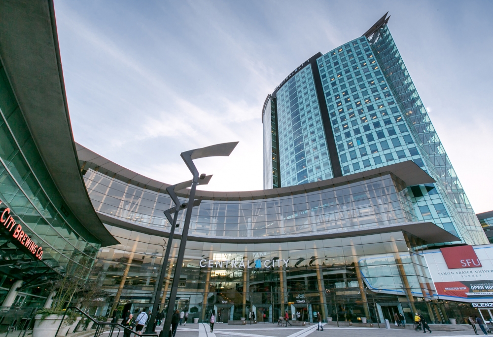 drop zone 2019 – surrey